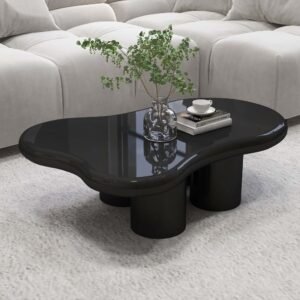 Organic Shape High-Gloss Black Coffee Table